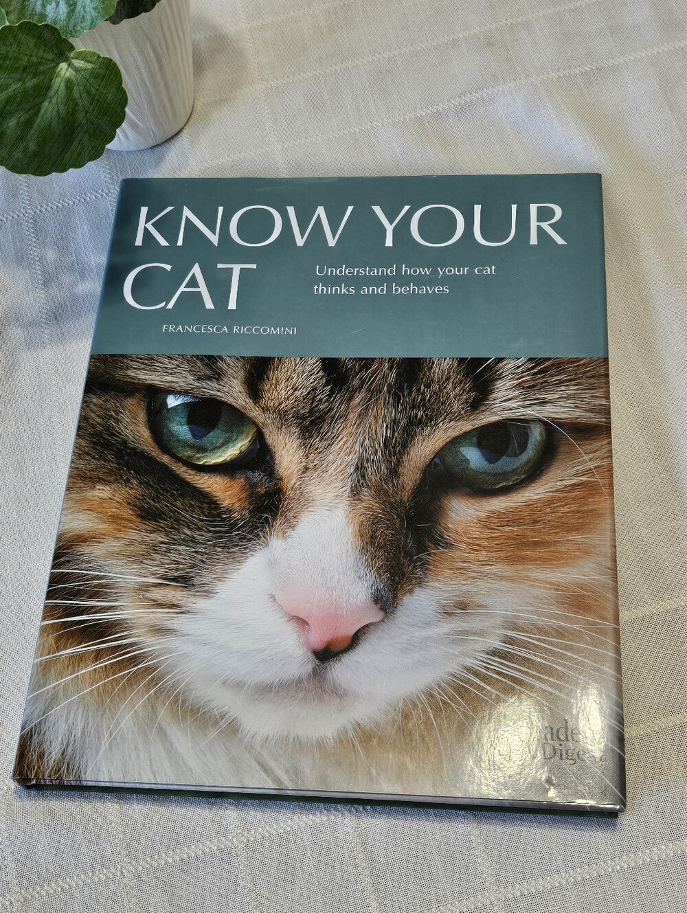 Know Your Cat by Francesca Riccomini Reader’s Digest Hardcover Cat Book